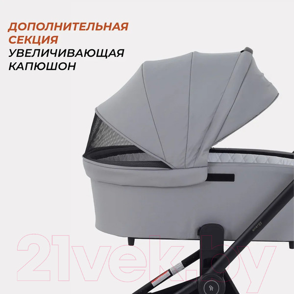 Изображение товара Детская универсальная коляска Rant Energy Basic 3 в 1 2024 / RA092 (серый)