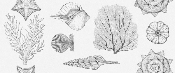 Изображение товара Плитка Gracia Ceramica Aqua White Wall 01 (250x600)