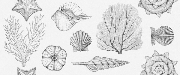 Изображение товара Плитка Gracia Ceramica Aqua White Wall 01 (250x600)