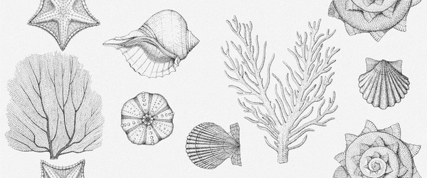 Изображение товара Плитка Gracia Ceramica Aqua White Wall 01 (250x600)