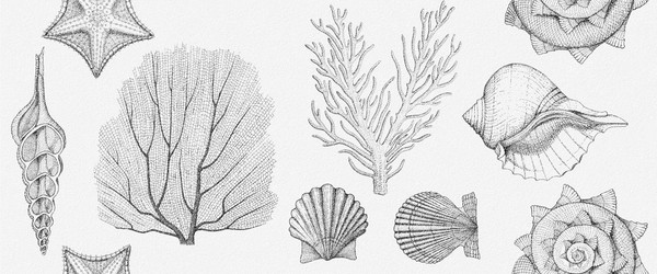 Изображение товара Плитка Gracia Ceramica Aqua White Wall 01 (250x600)