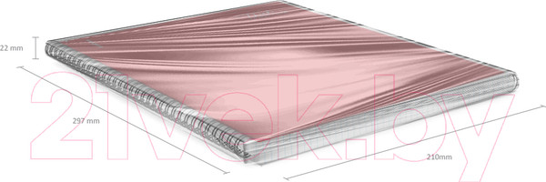 Изображение товара Тетрадь Erich Krause Words / 61970 (80л, красный)