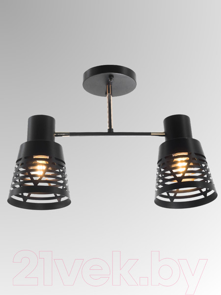 Изображение товара Потолочный светильник Aitin-Pro НПБ 02-2x60-101 / 6074/2 (черный/золото)