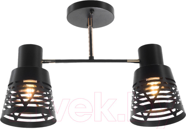 Изображение товара Потолочный светильник Aitin-Pro НПБ 02-2x60-101 / 6074/2 (черный/золото)