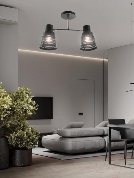 Изображение товара Потолочный светильник Aitin-Pro НПБ 02-2x60-101 / 6074/2 (черный/золото)