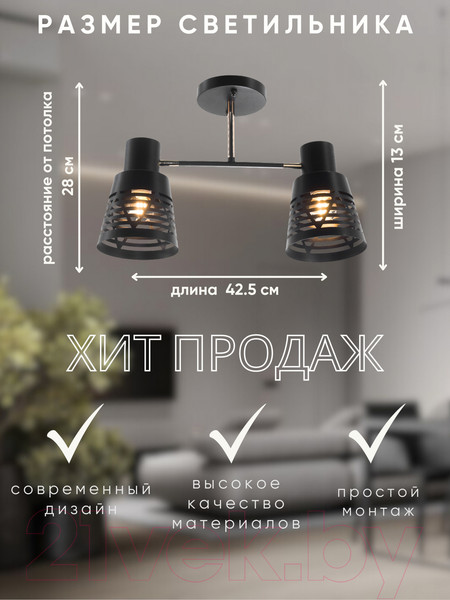 Изображение товара Потолочный светильник Aitin-Pro НПБ 02-2x60-101 / 6074/2 (черный/золото)