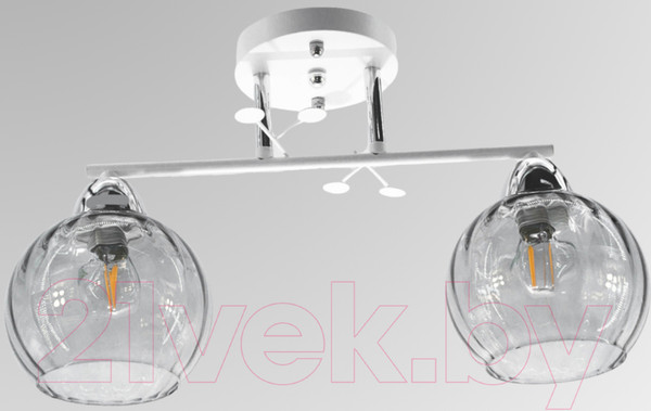 Изображение товара Потолочный светильник Aitin-Pro НПБ 02-2x60-101 / 8056/2 (белый/хром)