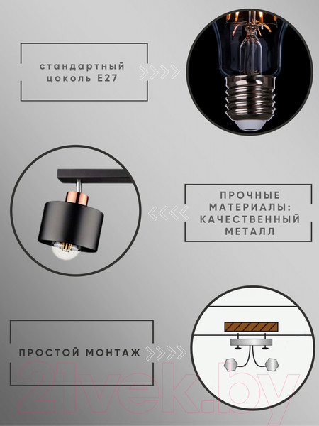 Изображение товара Спот Aitin-Pro НПБ 02-2x60-102 / 8825/2 (медный/черный)