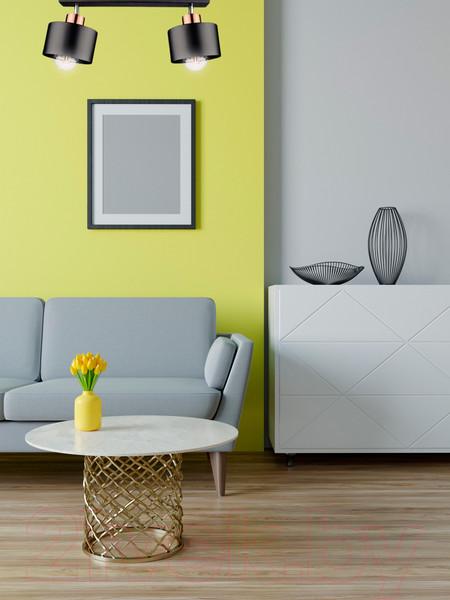 Изображение товара Спот Aitin-Pro НПБ 02-2x60-102 / 8825/2 (медный/черный)