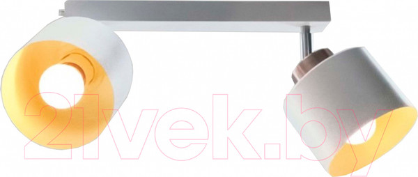 Изображение товара Спот Aitin-Pro НПБ 02-2x60-102 / 8825/2 (медный/белый)