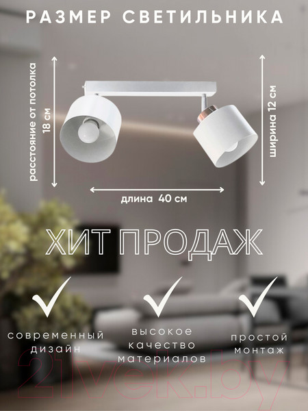 Изображение товара Спот Aitin-Pro НПБ 02-2x60-102 / 8825/2 (медный/белый)