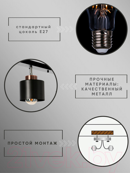 Изображение товара Спот Aitin-Pro НПБ 02-3x60-102 / 8825/3 (медный/черный)