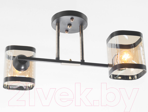 Изображение товара Потолочный светильник Aitin-Pro НПБ 02-2x60-101 / 9063/2 (черный/золото)