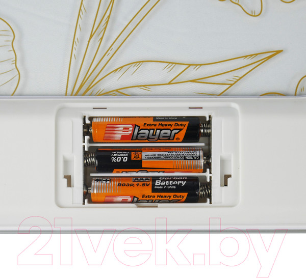 Изображение товара Напольные весы электронные Centek CT-2440 (цветы)