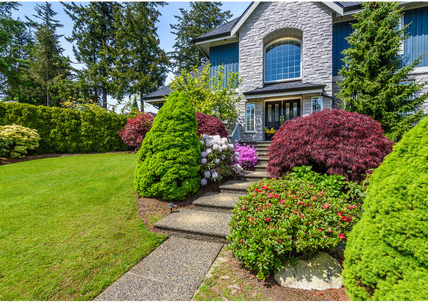 Изображение товара Фотообои листовые Citydecor Природа 101 (200x140см)