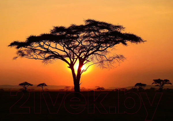 Изображение товара Фотообои листовые Citydecor Природа 94 (200x140см)