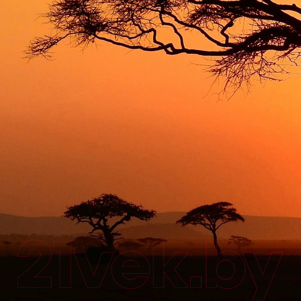 Изображение товара Фотообои листовые Citydecor Природа 94 (200x140см)