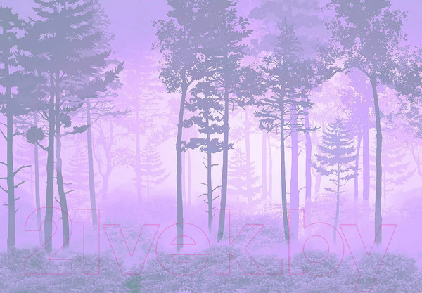 Изображение товара Фотообои листовые Citydecor Таинственный лес 13 (200x140см)