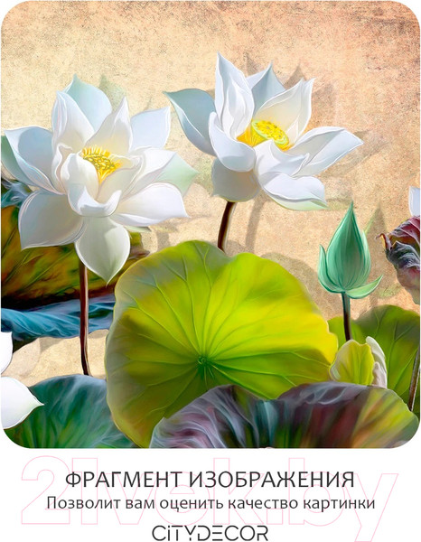 Изображение товара Фотообои листовые Citydecor Цветы и Растения 163 (200x140см)