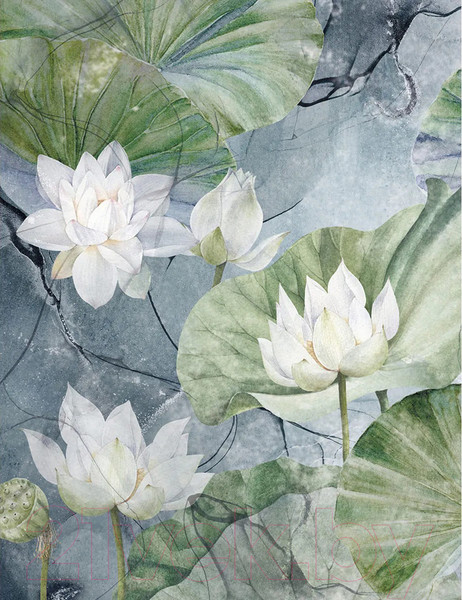 Изображение товара Фотообои листовые Citydecor Blossom 26 (200x260см)