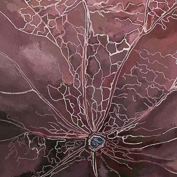 Изображение товара Фотообои листовые Citydecor Blossom 3 (200x260см)