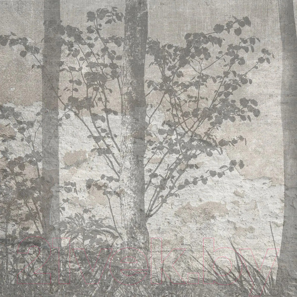 Изображение товара Фотообои листовые Citydecor Dark Side 34 (200x260см)