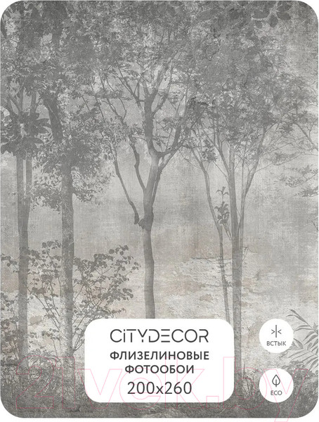 Изображение товара Фотообои листовые Citydecor Dark Side 34 (200x260см)