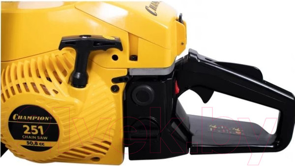 Изображение товара Бензопила цепная Champion 251-15