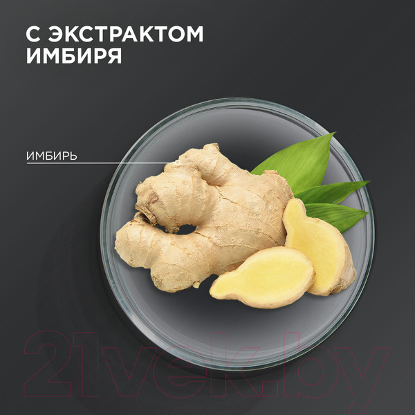 Изображение товара Шампунь для волос Шаума Men Intensive Против перхоти с экстрактом имбиря (650мл)