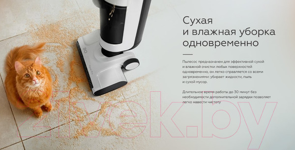 Изображение товара Вертикальный пылесос BQ VCA1001W (белый/черный)