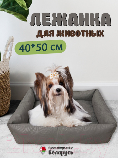 Изображение товара Лежанка для животных Файбертек Л.50x40x13