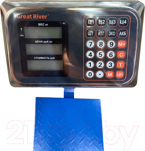 Изображение товара Весы платформенные Great River DH-836 (300кг)