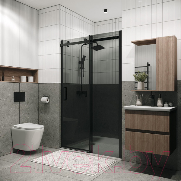 Изображение товара Душевая дверь Grossman Classic 100x195 / 100.K33.04.100.21.10 (черный матовый,стекло тонированное)