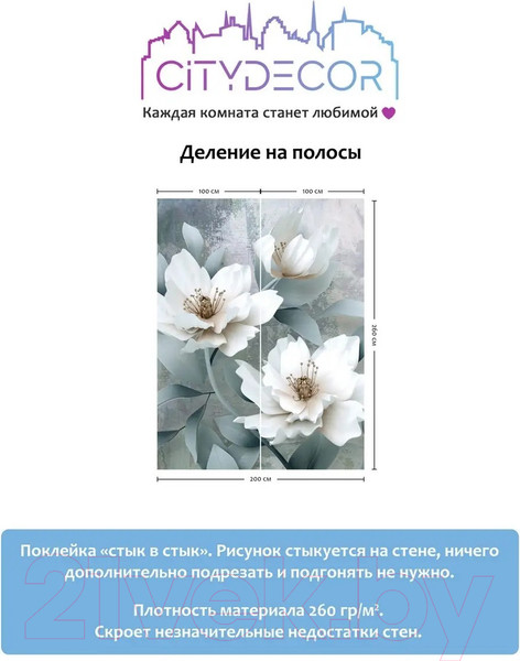Изображение товара Фотообои листовые Citydecor Абстракция 41 (200x260см)