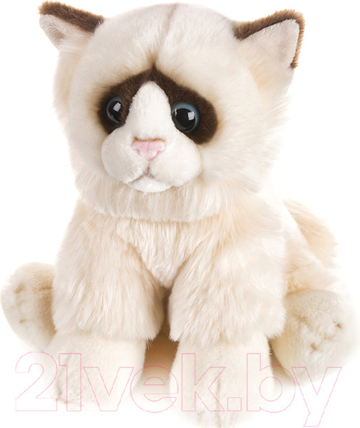 Изображение товара Мягкая игрушка Maxitoys Сиамская кошечка / MT-TS112311-25