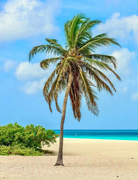 Изображение товара Фотообои листовые Citydecor Море и Водопады 46 (200x260см)