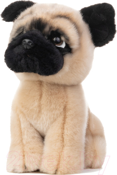 Изображение товара Мягкая игрушка Maxitoys Мопс / MT-TS112305-18