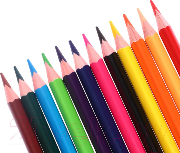 Изображение товара Набор цветных карандашей Erich Krause Safari / 61814 (12цв)