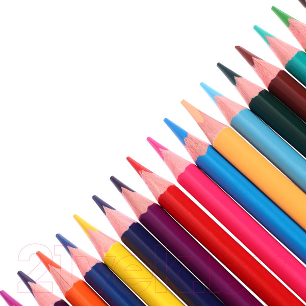 Изображение товара Набор цветных карандашей Erich Krause Safari / 61815 (18цв)