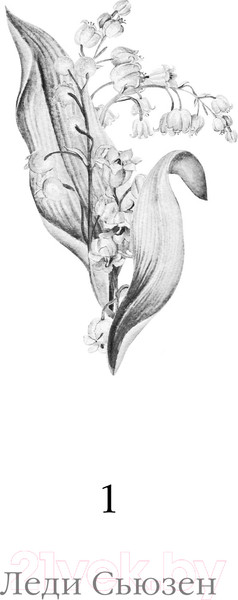 Изображение товара Книга Эксмо Леди Сьюзен. Романы / 9785041965952 (Остен Дж.)