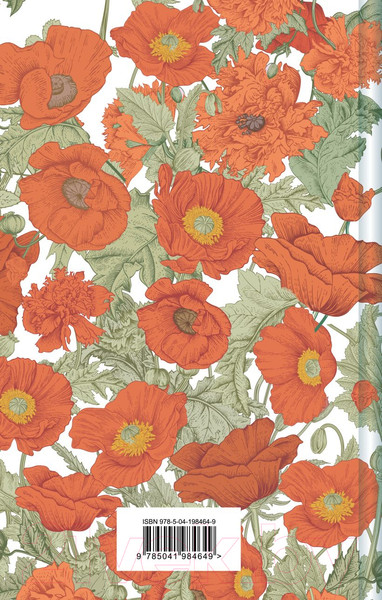 Изображение товара Книга Эксмо Рилла из Инглсайда / 9785041984649 (Монтгомери Л.М.)