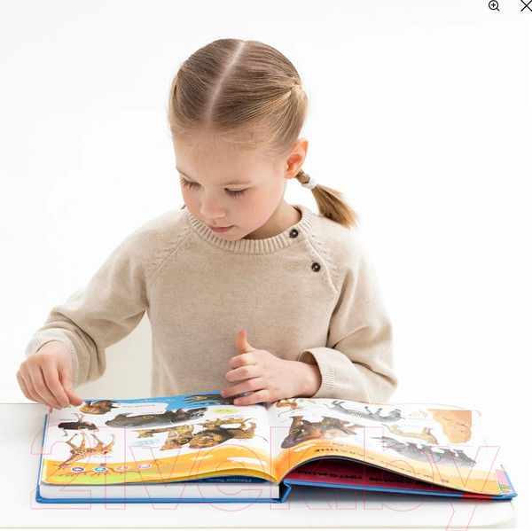 Изображение товара Музыкальная книга BertToys Нажималка-Животные / 9785907527430