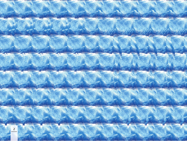 Изображение товара Энциклопедия АСТ Новый взгляд на мир. 75 стереограмм / 9785171564803