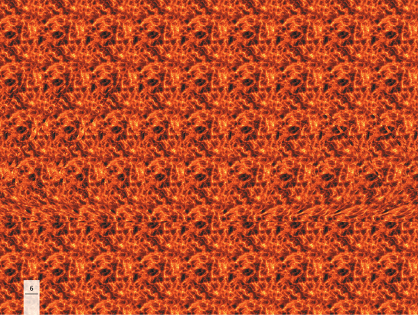 Изображение товара Энциклопедия АСТ Новый взгляд на мир. 75 стереограмм / 9785171564803