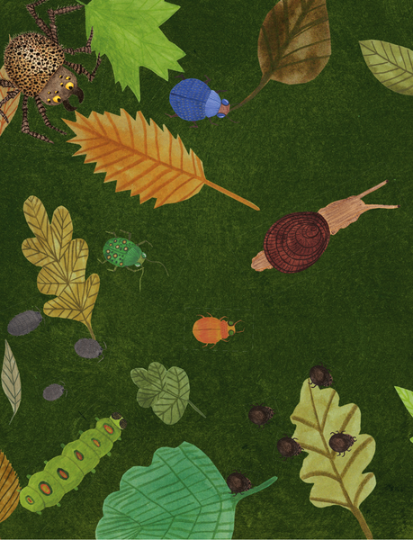 Изображение товара Энциклопедия АСТ Город насекомых, твердая обложка (Торп Кристине Кюйят)