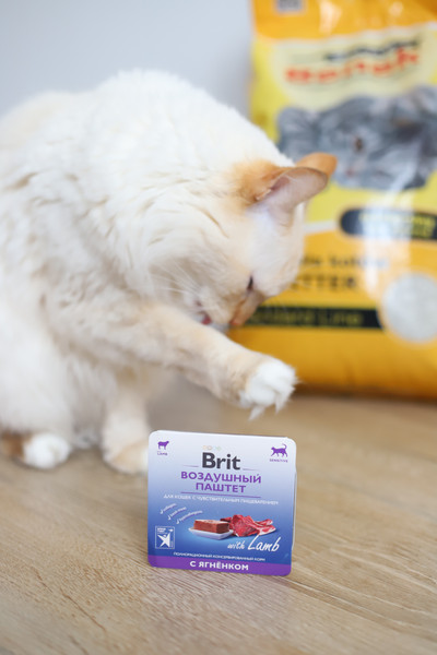 Изображение товара Влажный корм для кошек Brit Premium Sensitive Воздушный паштет с ягненком / 5060900 (100г)
