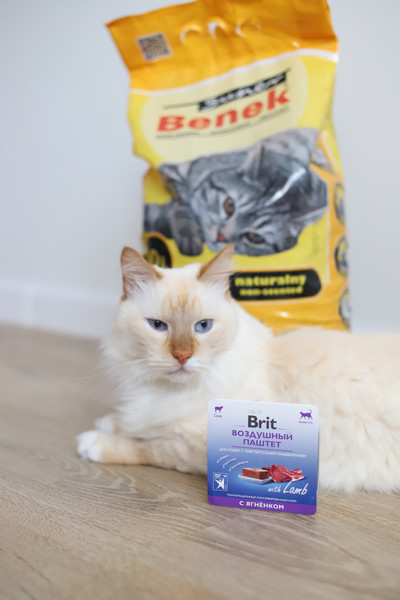 Изображение товара Влажный корм для кошек Brit Premium Sensitive Воздушный паштет с ягненком / 5060900 (100г)