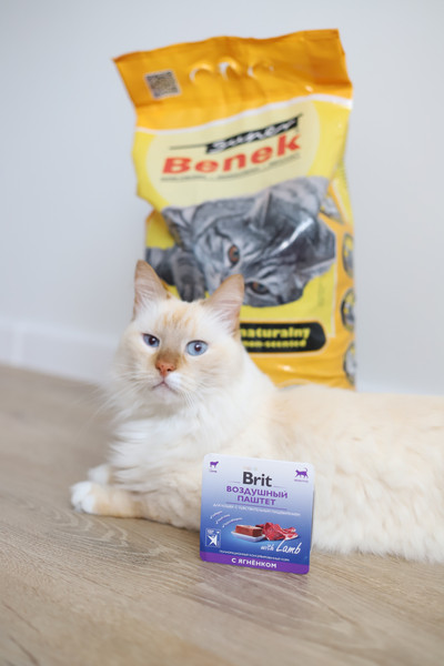 Изображение товара Влажный корм для кошек Brit Premium Sensitive Воздушный паштет с ягненком / 5060900 (100г)