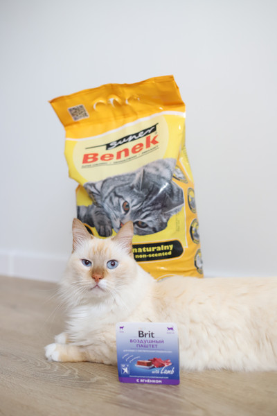 Изображение товара Влажный корм для кошек Brit Premium Sensitive Воздушный паштет с ягненком / 5060900 (100г)