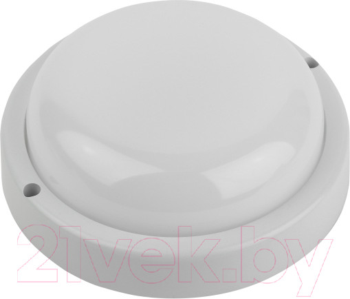 Изображение товара Светильник ЖКХ ЭРА SPB-201-3-40K-012 / Б0062539